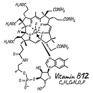 Biochemistry