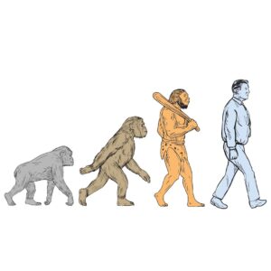 Evolution and Biodiversity