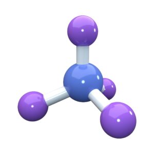 Molecular Biology