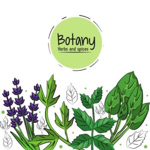 Plant Biology