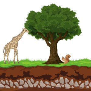 Soil Systems, Terrestrial Food, Production Systems and Societies