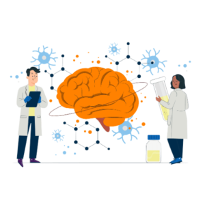 Cognitive Approach to Understanding Behaviour